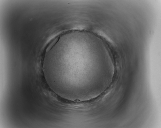 X0000099571256200805231525