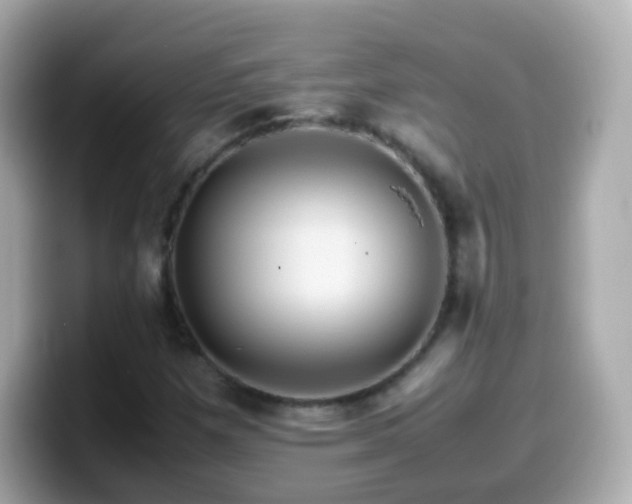 X0000099571257200805231525