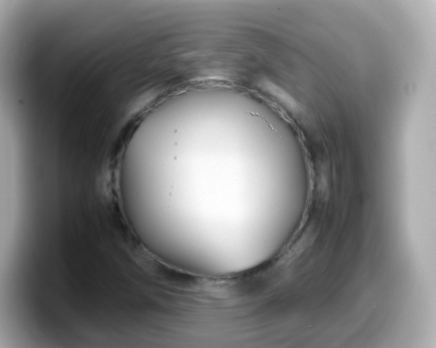 X0000099571258200805231525