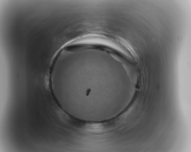 X0000099571260200805231525