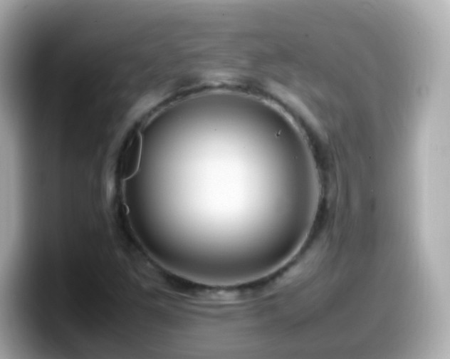 X0000099571261200805231525