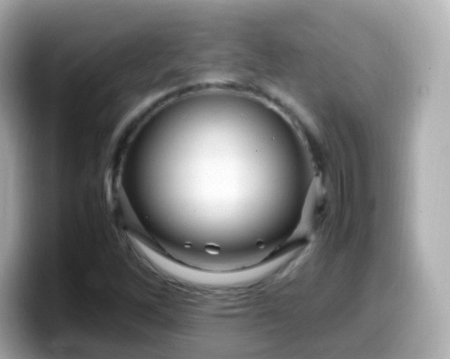 X0000099571262200805231525