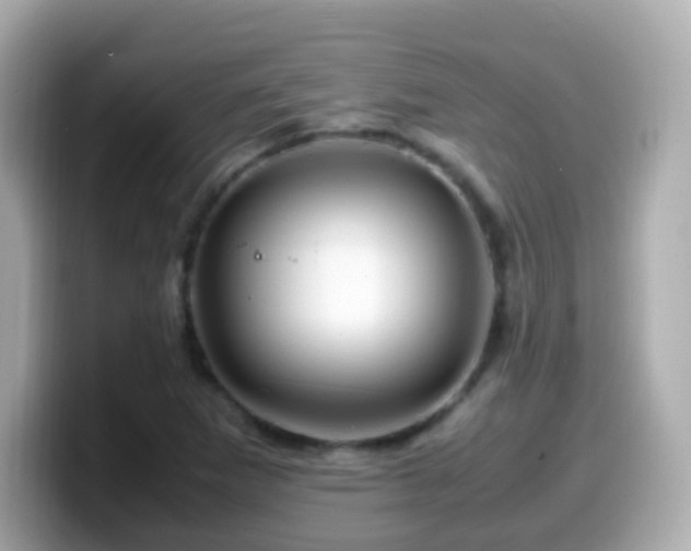 X0000099571265200805231525