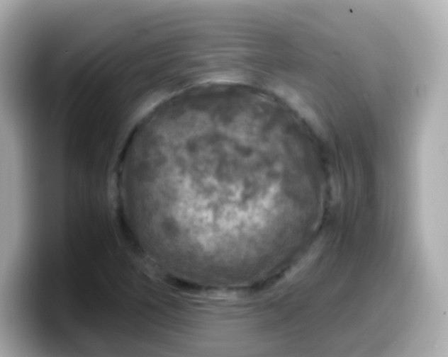 X0000099571266200805231525