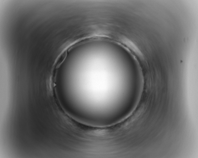 X0000099571268200805231524