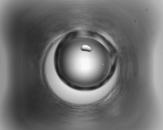 X0000099571269200805231524