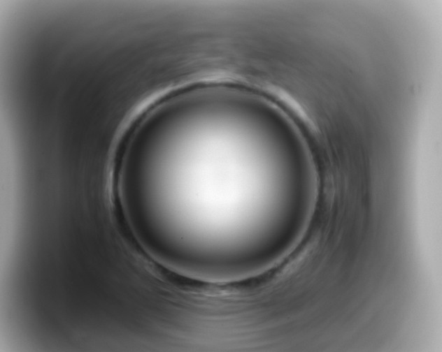 X0000099571270200805231524