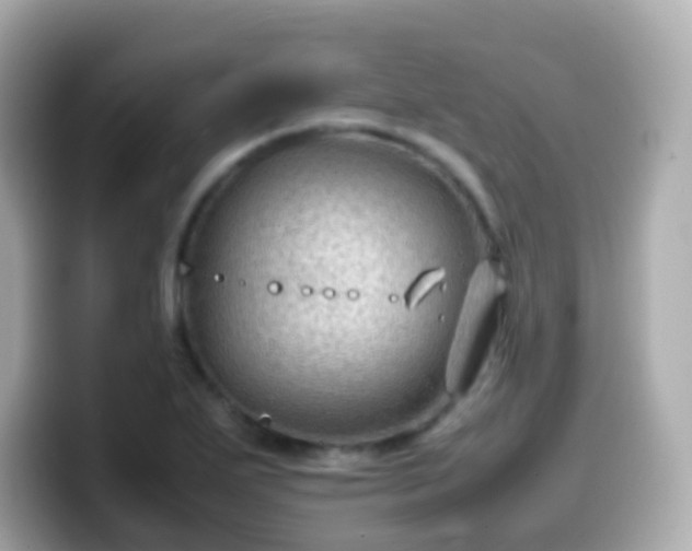 X0000099571271200805231524