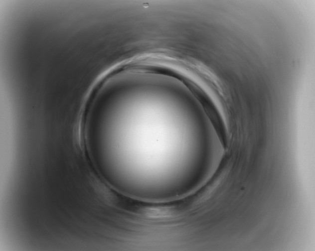 X0000099571272200805231524