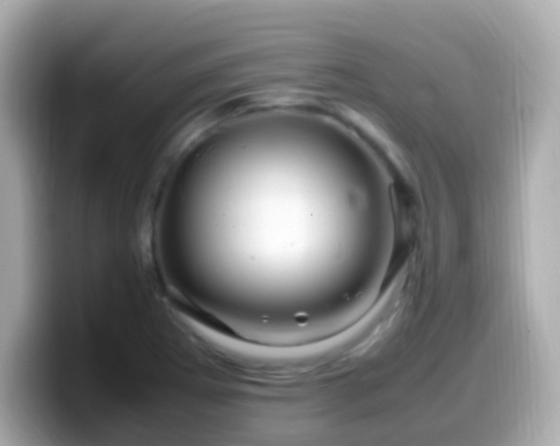 X0000099571273200805231524