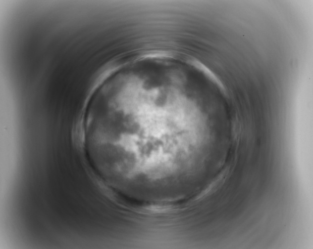 X0000099571274200805231524