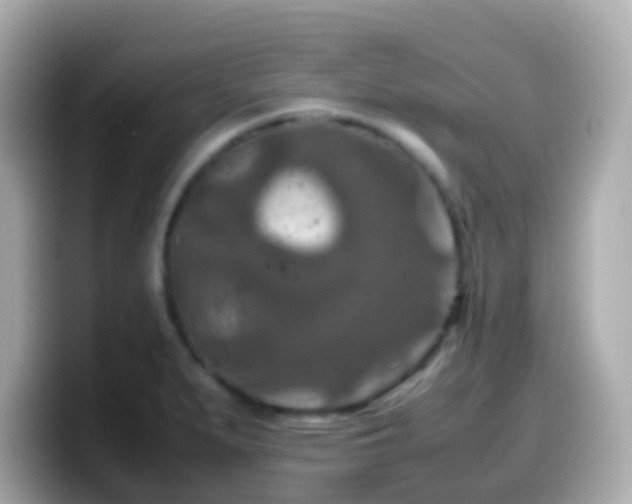 X0000099571279200805231524