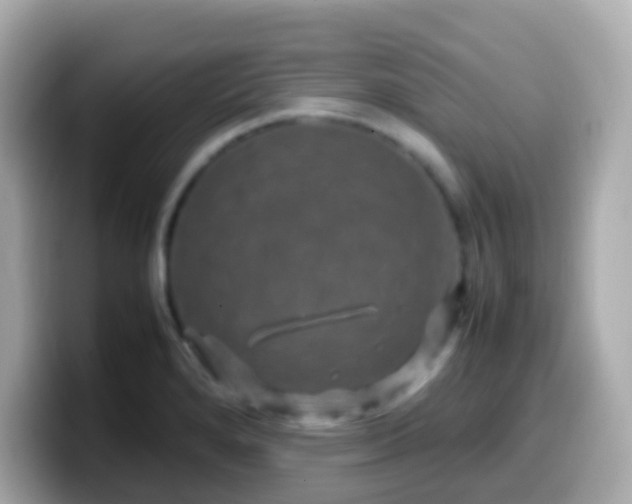 X0000099571280200805231524