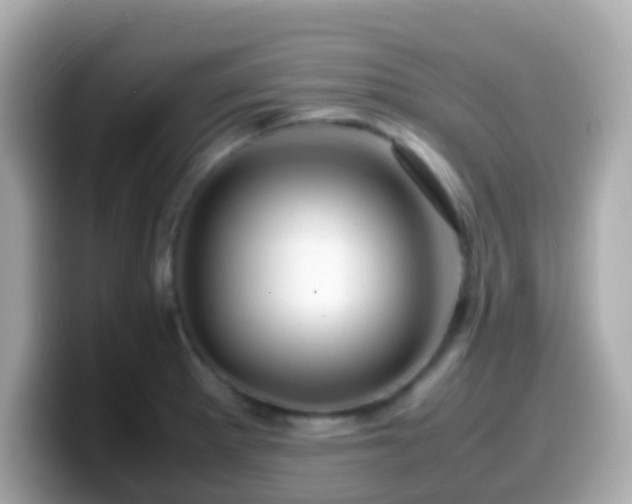 X0000099571281200805231524