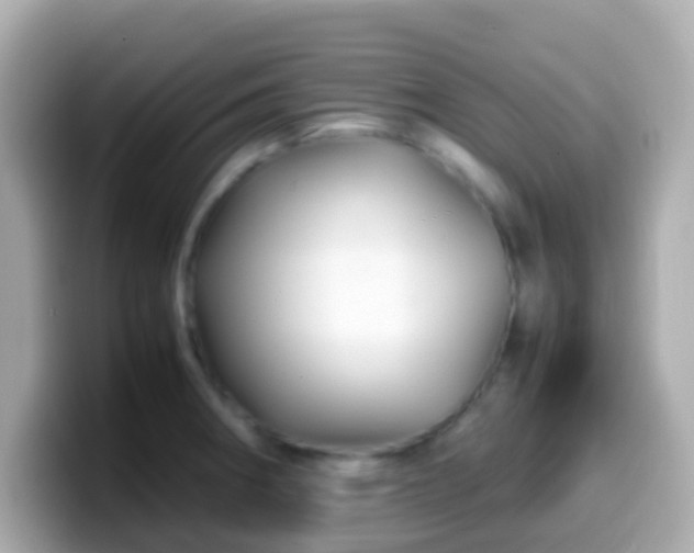 X0000099571282200805231524