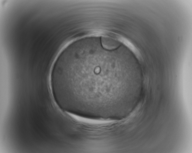 X0000099571283200805231524