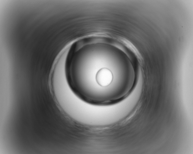 X0000099571284200805231524