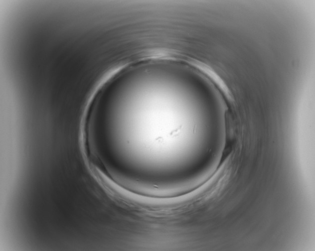 X0000099571285200805231524