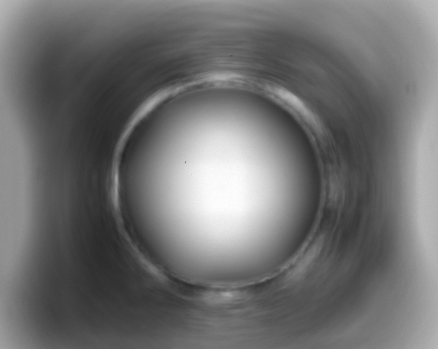 X0000099571286200805231524