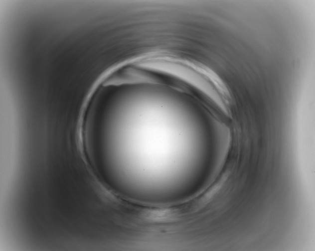 X0000099571288200805231524