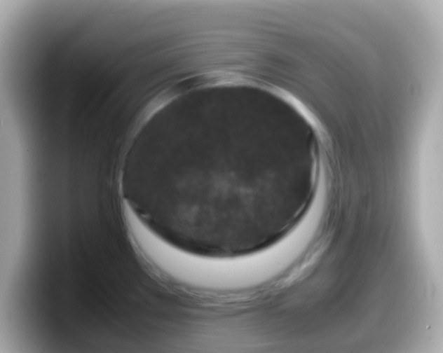 X0000099571289200805231524