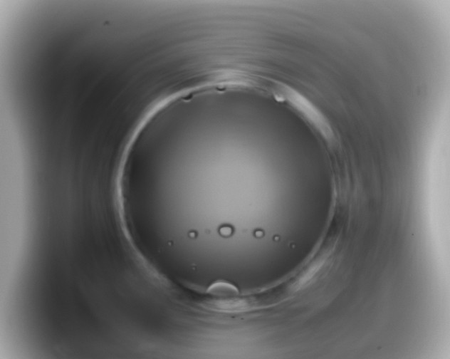 X0000099571291200805231524