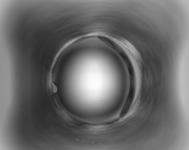 X0000099571292200805231524