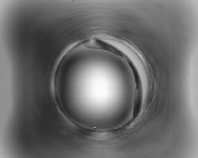 X0000099571293200805231524