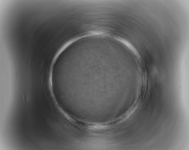 X0000099571294200805231524