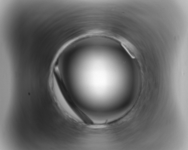 X0000099571296200805231524