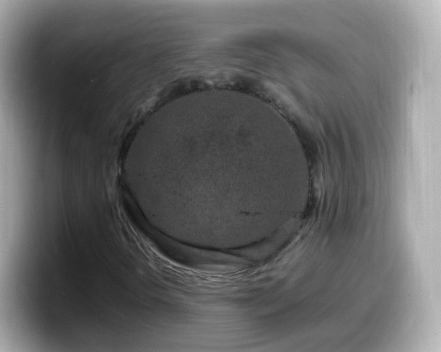 X0000099571298200805231524