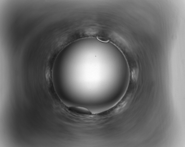 X0000099571299200805231524