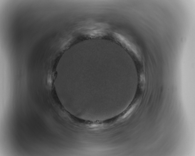 X0000099571300200805231524