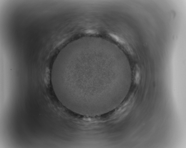 X0000099571301200805231524