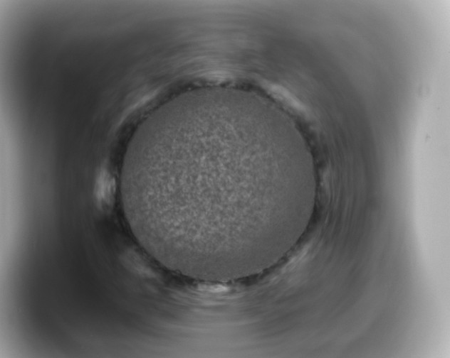 X0000099571302200805231524