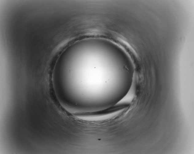 X0000099571304200805231524