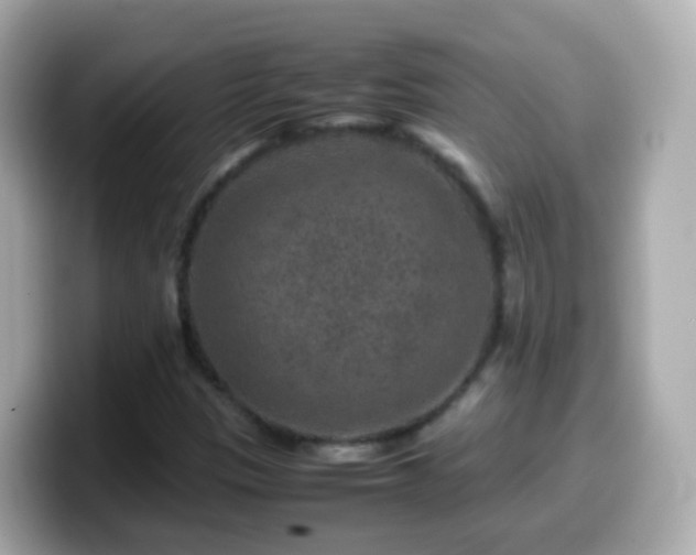 X0000099571305200805231524