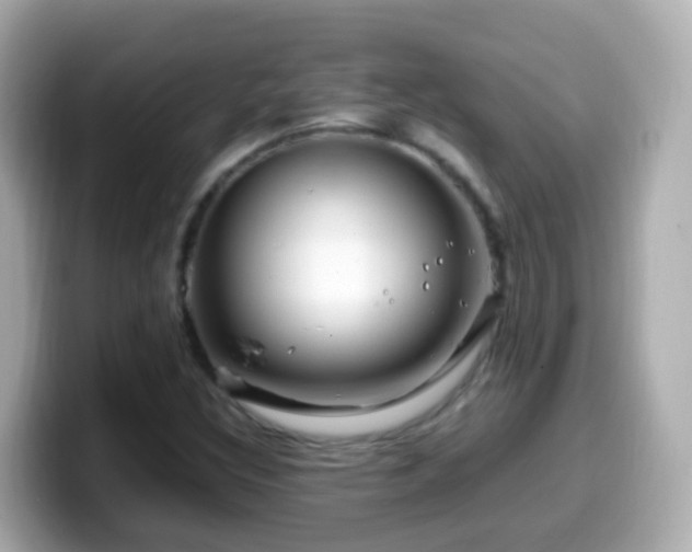 X0000099571308200805231524