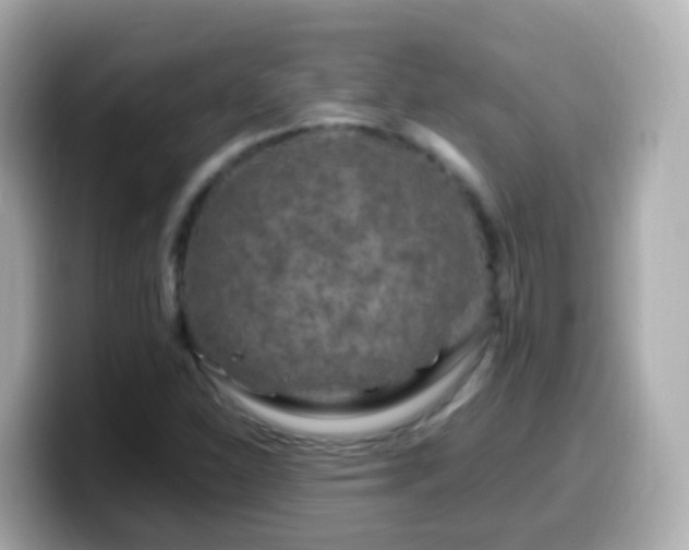 X0000099571310200805231524