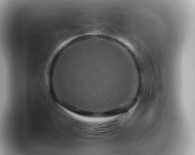 X0000099571311200805231524