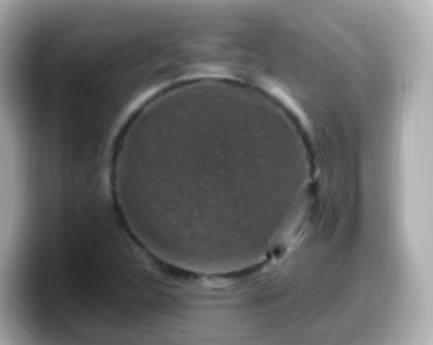 X0000099571312200805231524