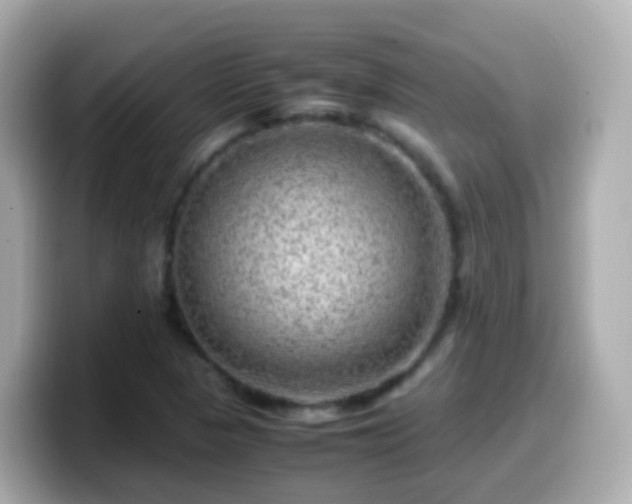 X0000099571313200805231524