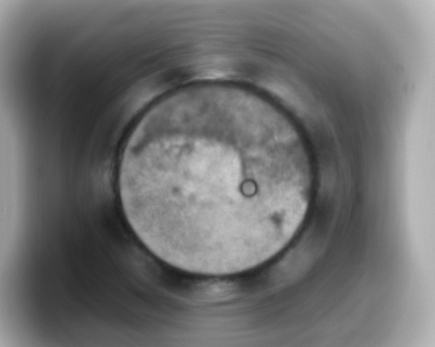 X0000099571314200805231524