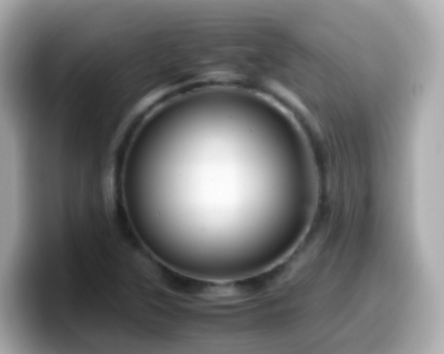 X0000099571315200805231524