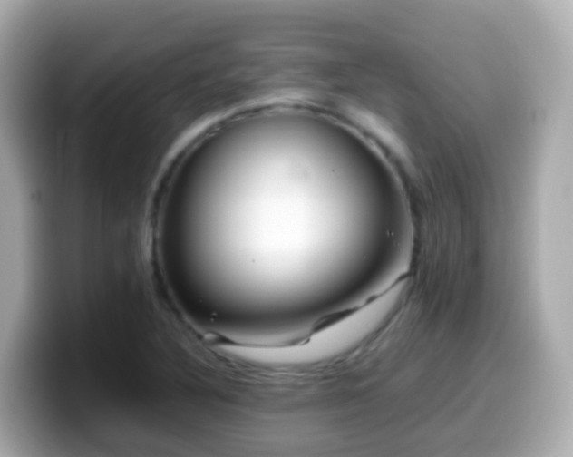 X0000099571316200805231524