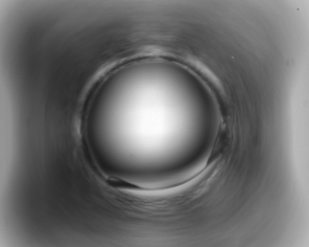 X0000099571318200805231524