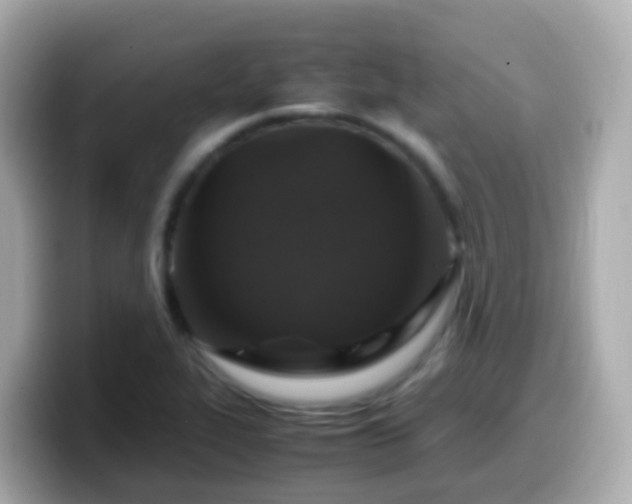 X0000099571319200805231524