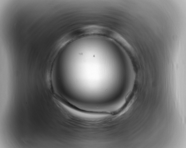 X0000099571321200805231524