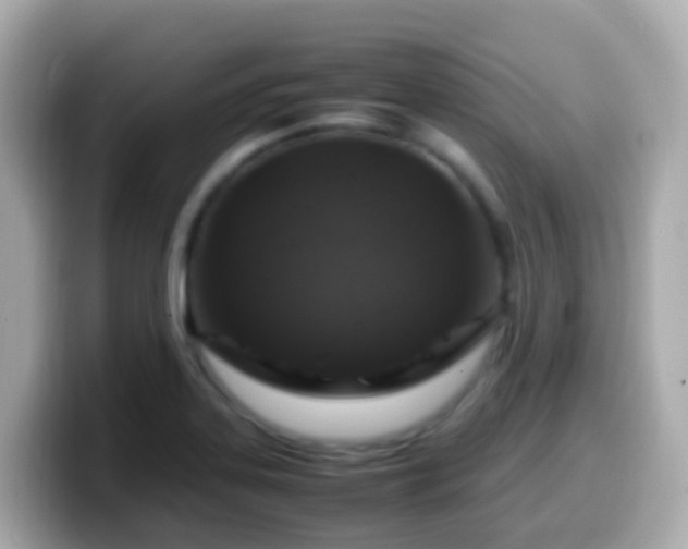 X0000099571323200805231524