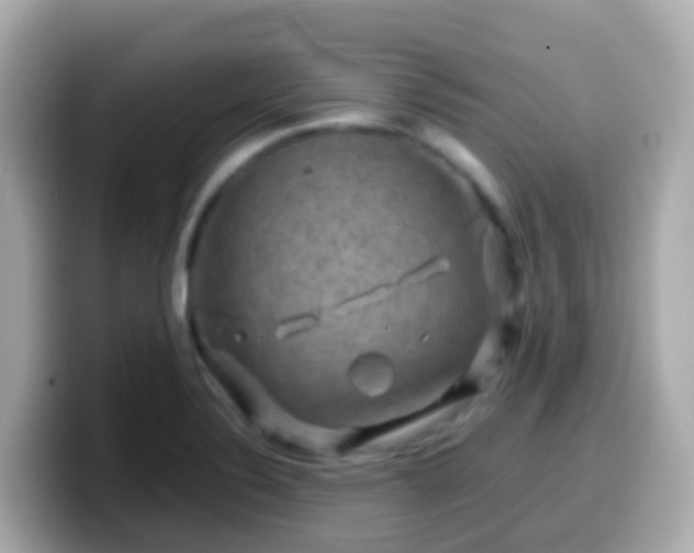 X0000099571324200805231524